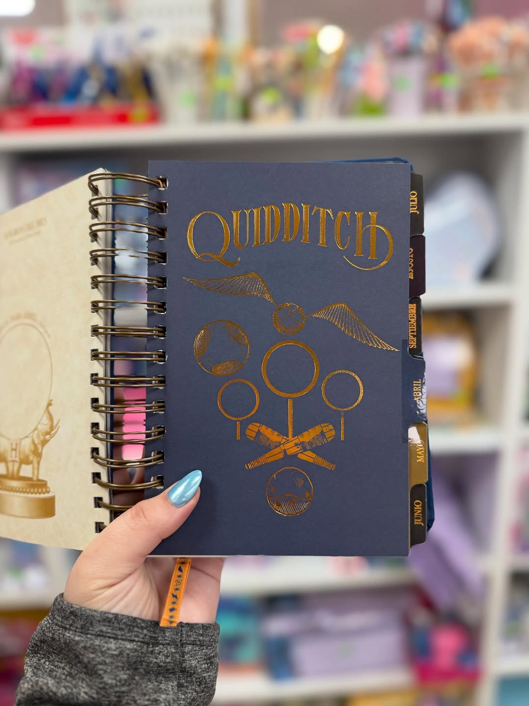 The Muggle Agenda 2026 - Magical Planner for Muggle