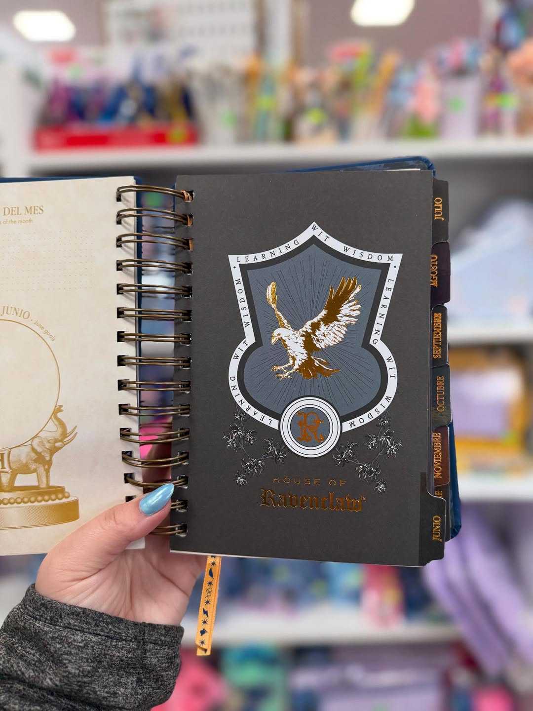 The Muggle Agenda 2026 - Magical Planner for Muggle
