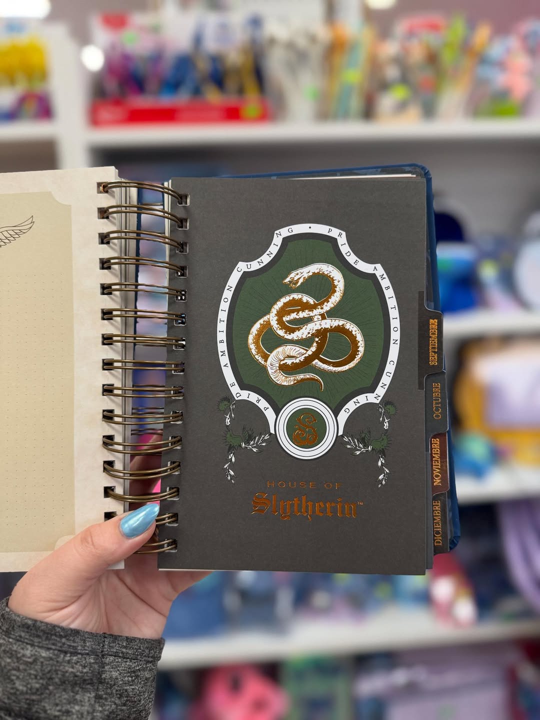 The Muggle Agenda 2026 - Magical Planner for Muggle