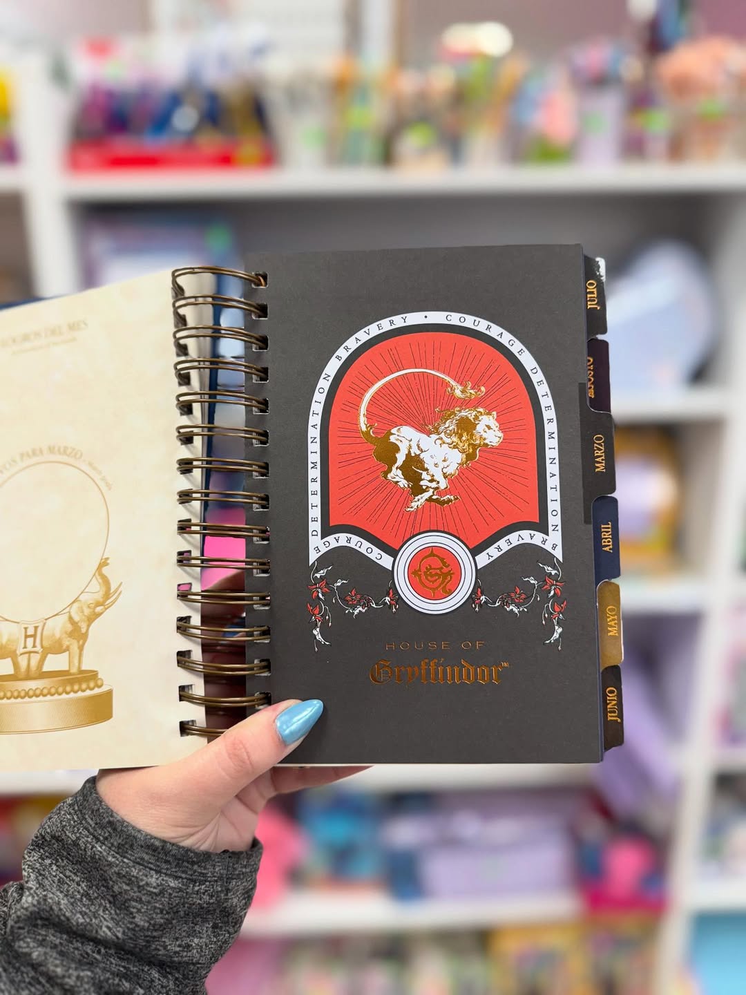 The Muggle Agenda 2026 - Magical Planner for Muggle