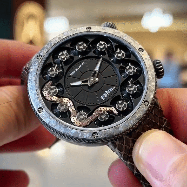 The Chamber of Secrets Watches